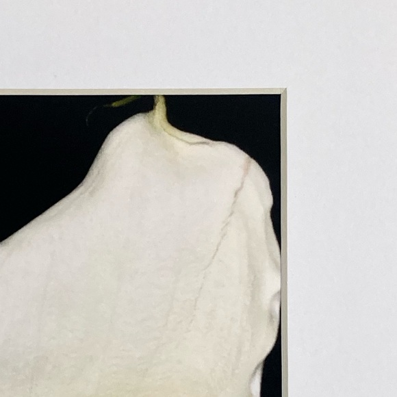 “CALISTA” ~ ORIGINAL ART by ~ @lisamichellebeckerphotography - Picture 5 of 13